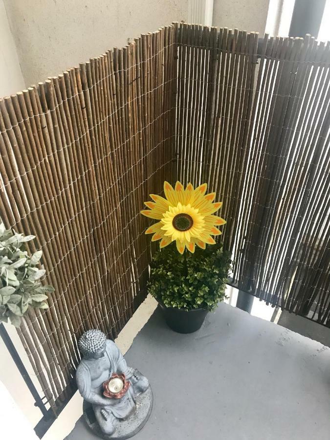 City Centre Georgian Apartment Dublin Eksteriør bilde